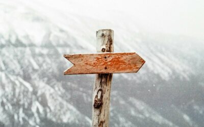SEO : pourquoi votre site ne génère pas de leads (et quoi faire)